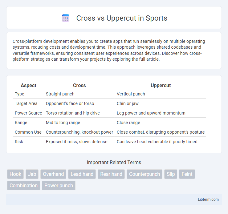 Uppercut vs Cross in Sports - What is The Difference?