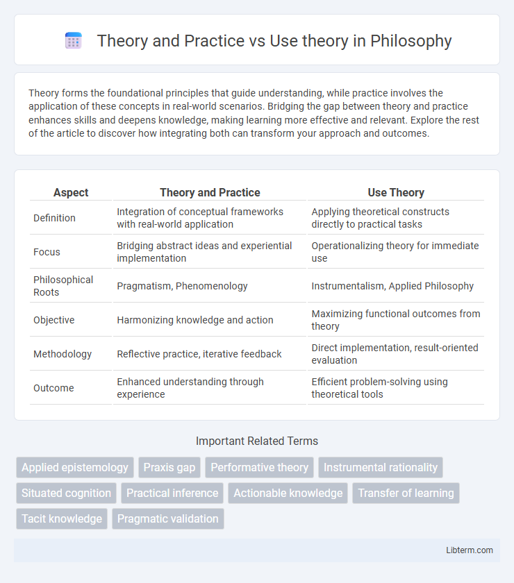 Use theory vs Theory and Practice in Philosophy - What is The Difference?