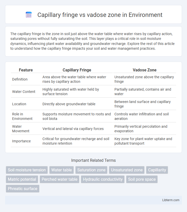 vadose zone vs Capillary fringe in Environment - What is The Difference?