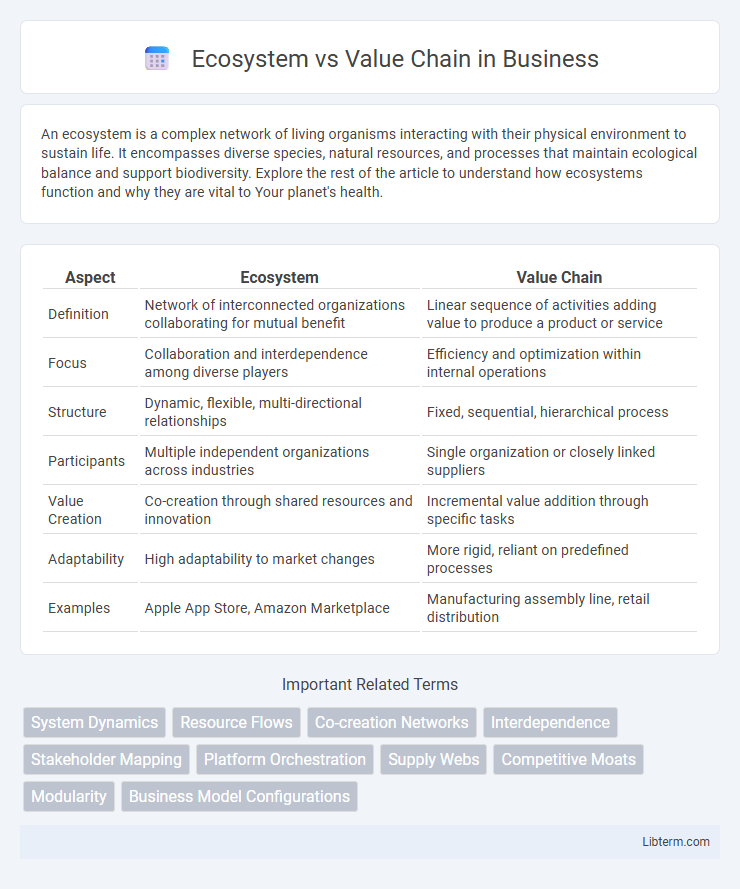 Value Chain vs Ecosystem in Business - What is The Difference?