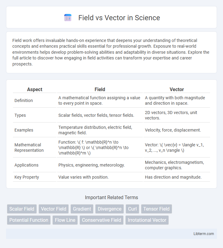 Vector vs Field in Science - What is The Difference?