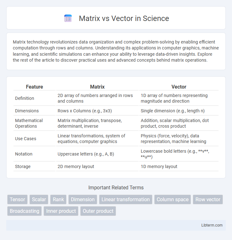 Vector vs Matrix in Science - What is The Difference?