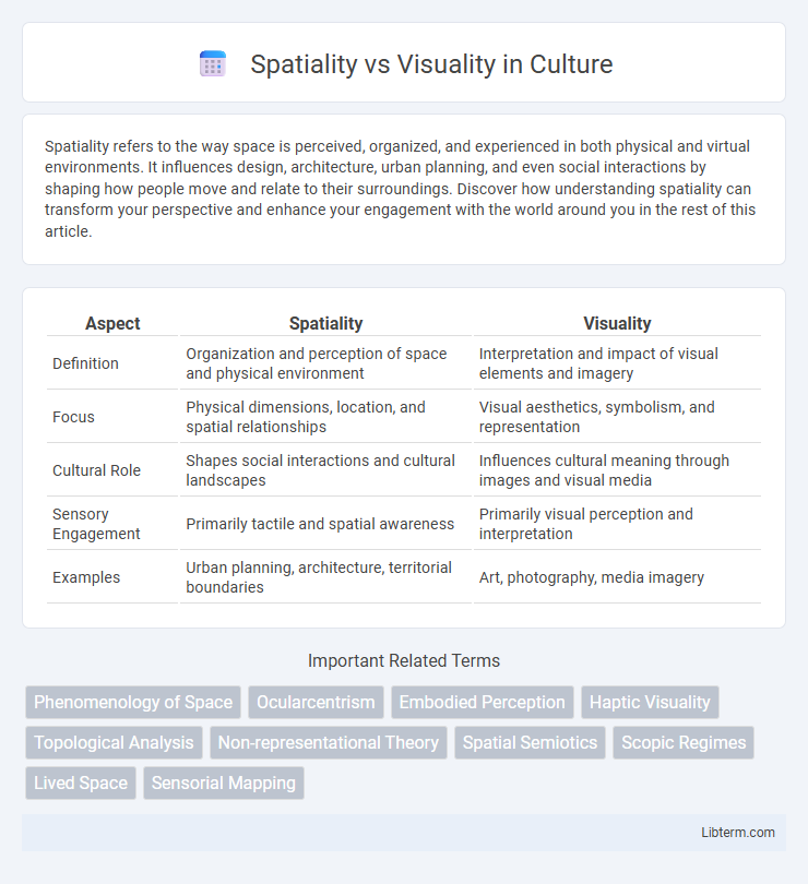 Visuality vs Spatiality in Culture - What is The Difference?