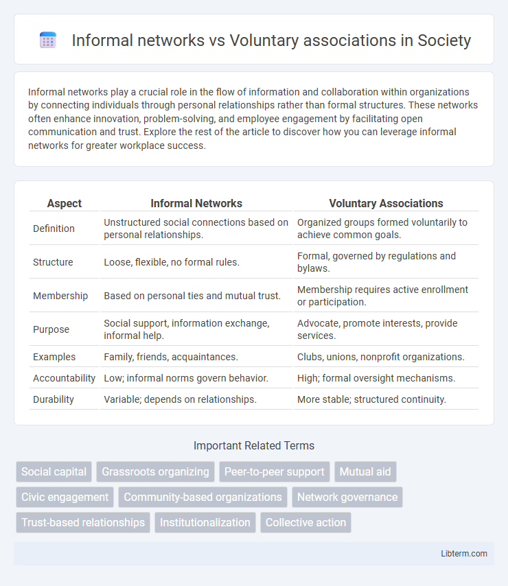 Voluntary associations vs Informal networks in Society - What is The Difference?