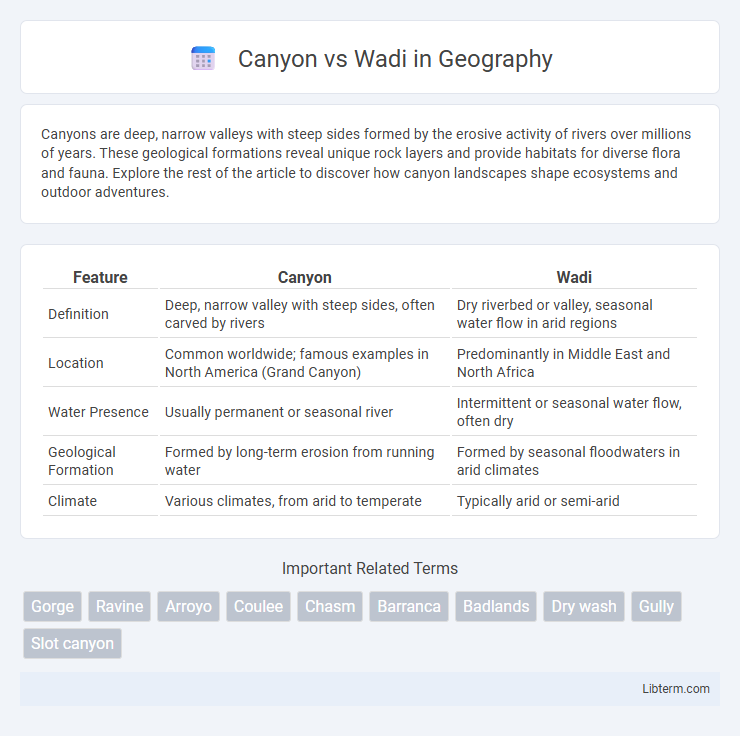 Wadi vs Canyon in Geography - What is The Difference?