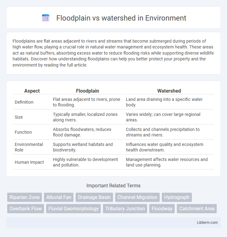 watershed vs Floodplain in Environment - What is The Difference?