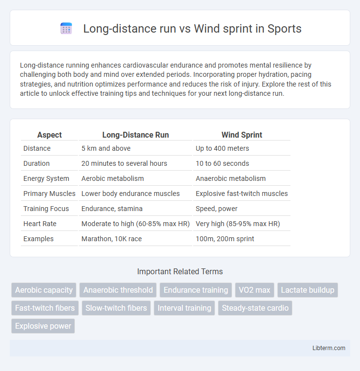 Wind sprint vs Long-distance run in Sports - What is The Difference?
