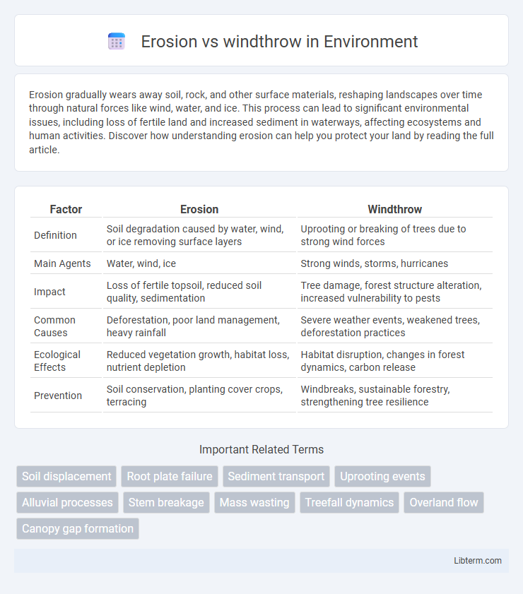 windthrow vs Erosion in Environment - What is The Difference?