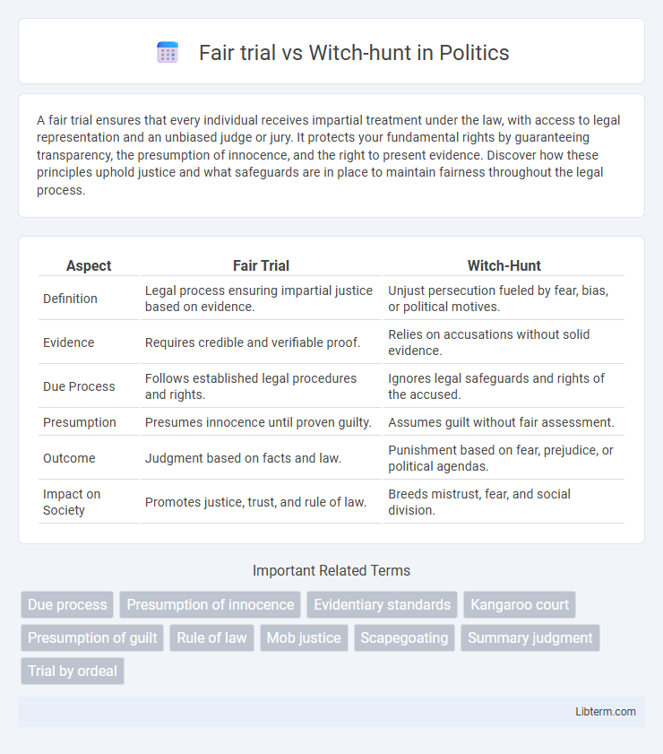 Witch-hunt vs Fair trial in Politics - What is The Difference?