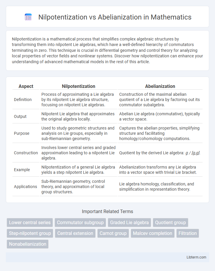 Abelianization vs Nilpotentization in Mathematics - What is The Difference?