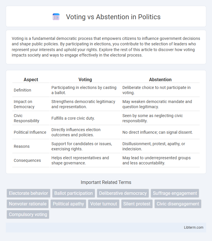 Abstention vs Voting in Politics - What is The Difference?