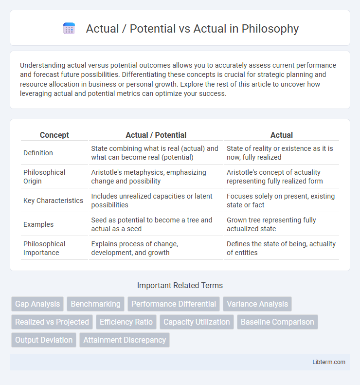 Actual vs Actual / Potential in Philosophy - What is The Difference?