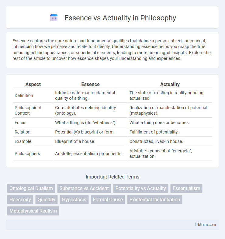 Actuality vs Essence in Philosophy - What is The Difference?