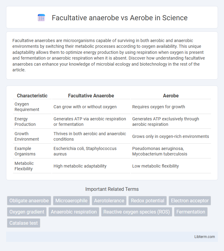 Aerobe vs Facultative anaerobe in Science - What is The Difference?
