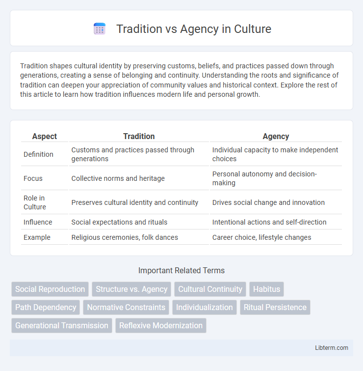 Agency vs Tradition in Culture - What is The Difference?