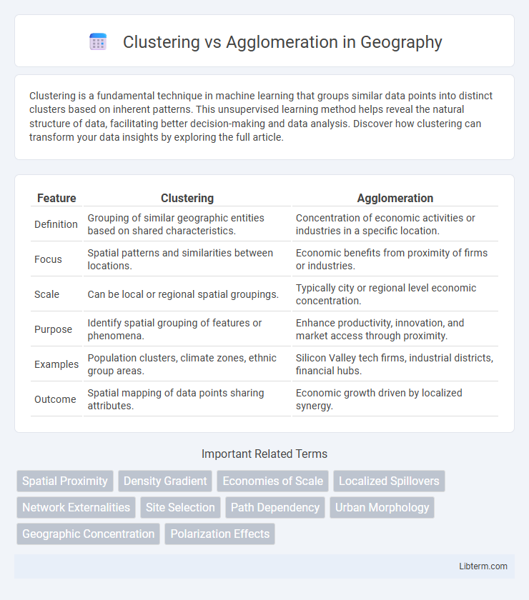 Agglomeration vs Clustering in Geography - What is The Difference?