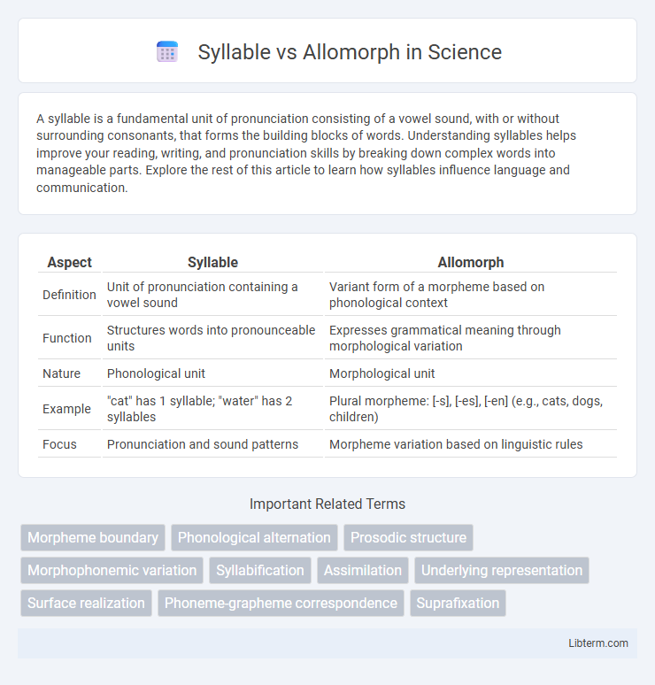 Allomorph vs Syllable in Science - What is The Difference?