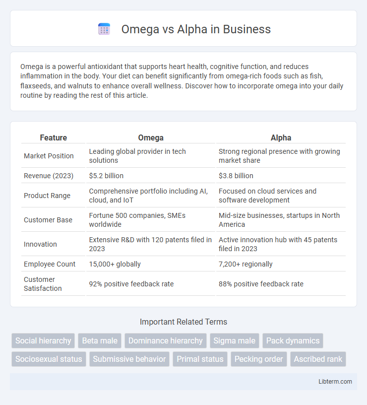 Alpha vs Omega in Business - What is The Difference?