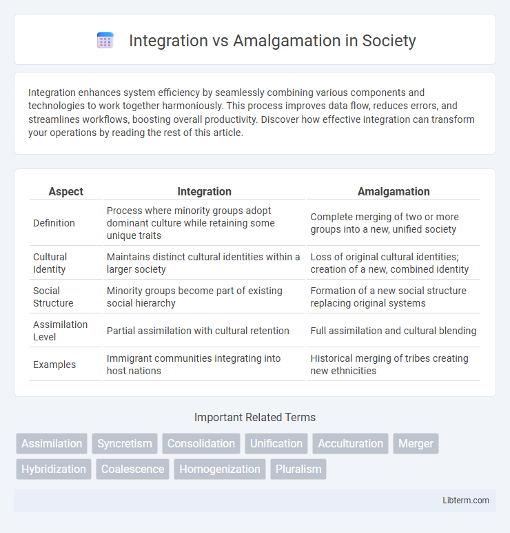 Amalgamation vs Integration in Society - What is The Difference?