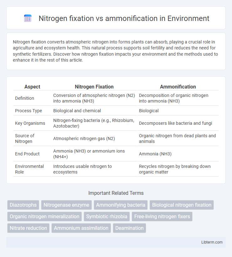 ammonification vs Nitrogen fixation in Environment - What is The Difference?