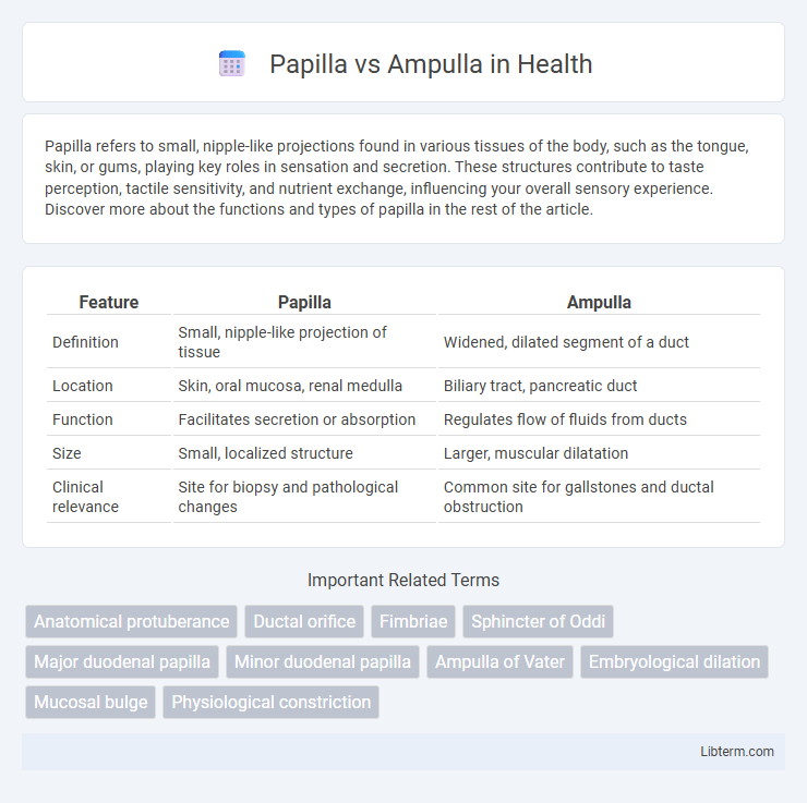 Ampulla vs Papilla in Health - What is The Difference?