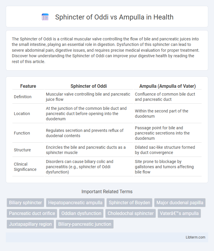 Ampulla vs Sphincter of Oddi in Health - What is The Difference?