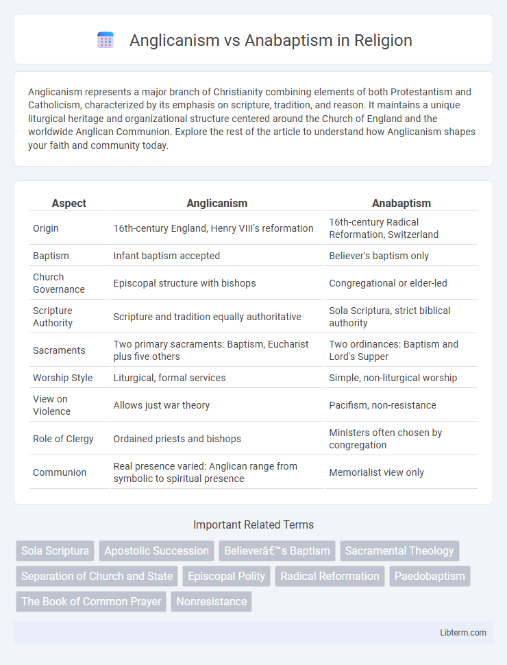Anabaptism vs Anglicanism in Religion - What is The Difference?