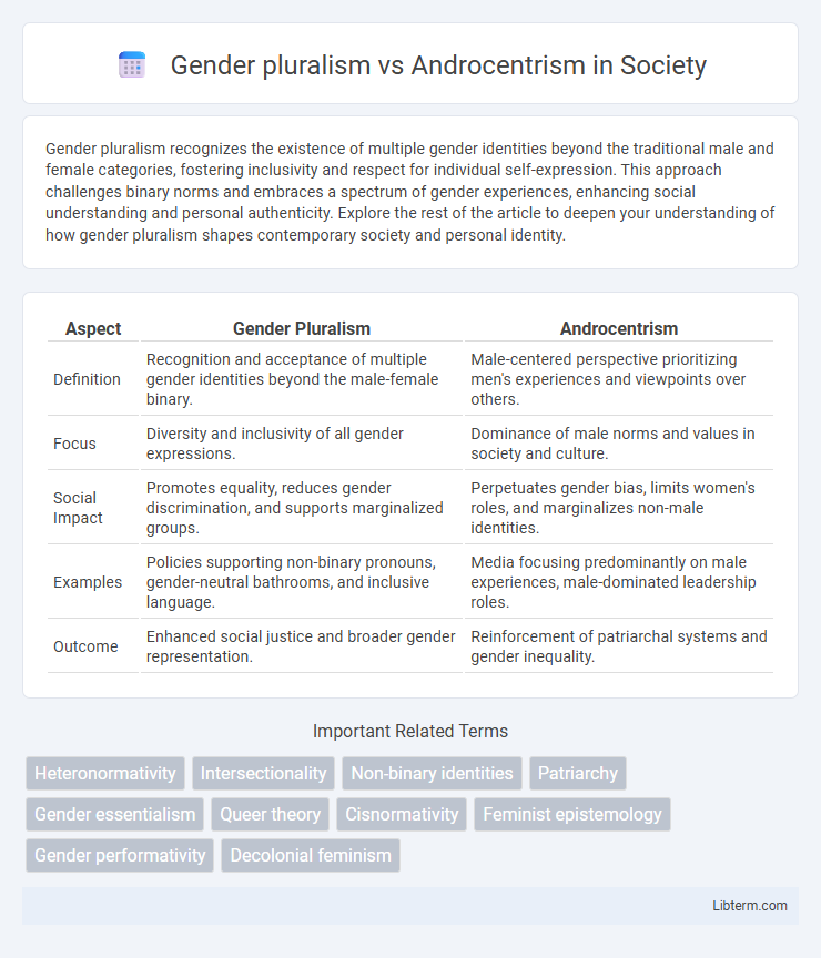 Androcentrism vs Gender pluralism in Society - What is The Difference?