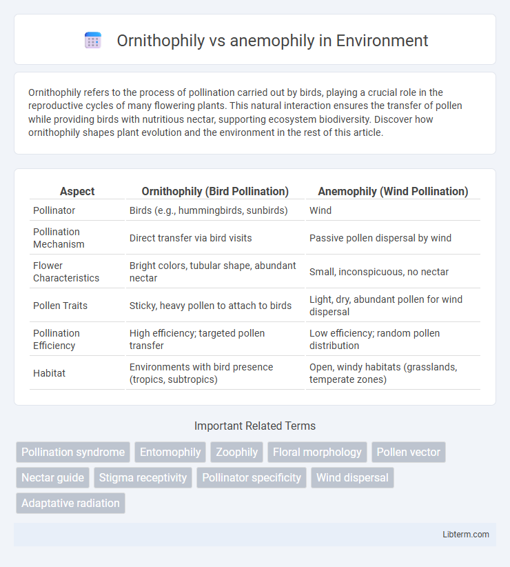 anemophily vs Ornithophily in Environment - What is The Difference?