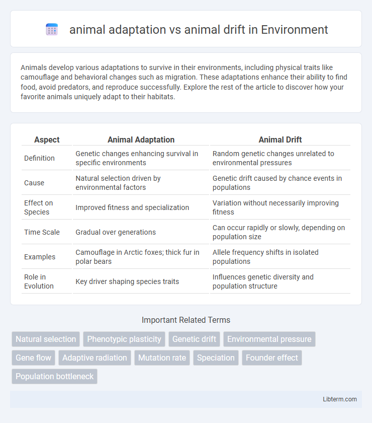 animal drift vs animal adaptation in Environment - What is The Difference?