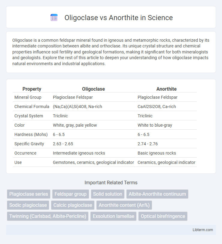 Anorthite vs Oligoclase in Science - What is The Difference?