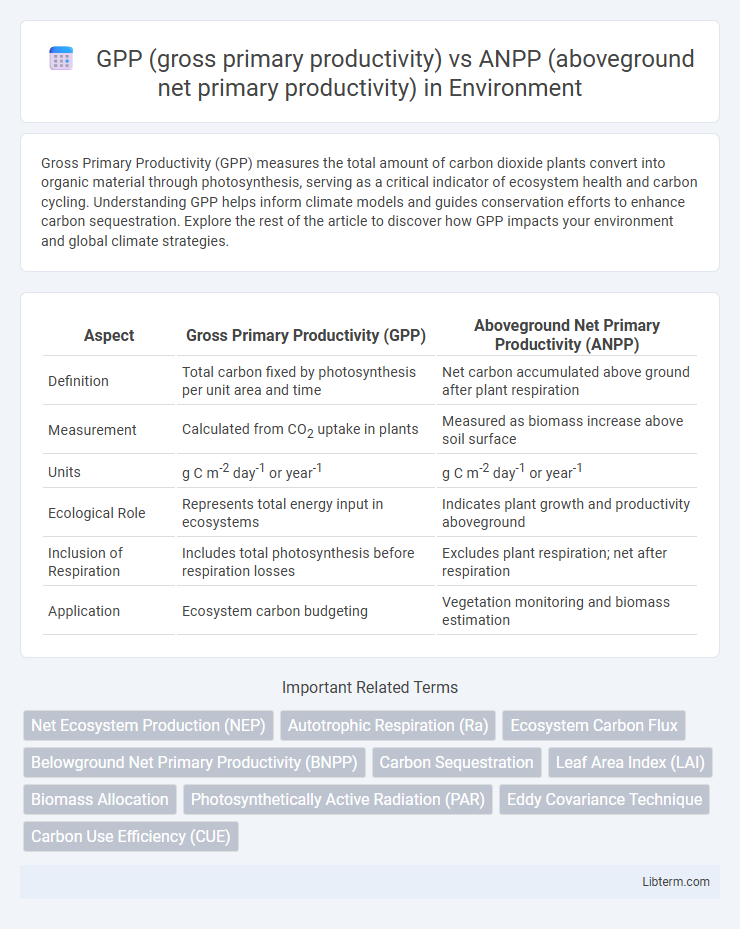 ANPP (aboveground net primary productivity) vs GPP (gross primary productivity) in Environment - What is The Difference?