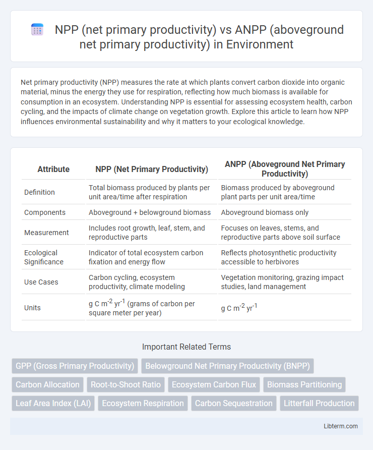 ANPP (aboveground net primary productivity) vs NPP (net primary productivity) in Environment - What is The Difference?
