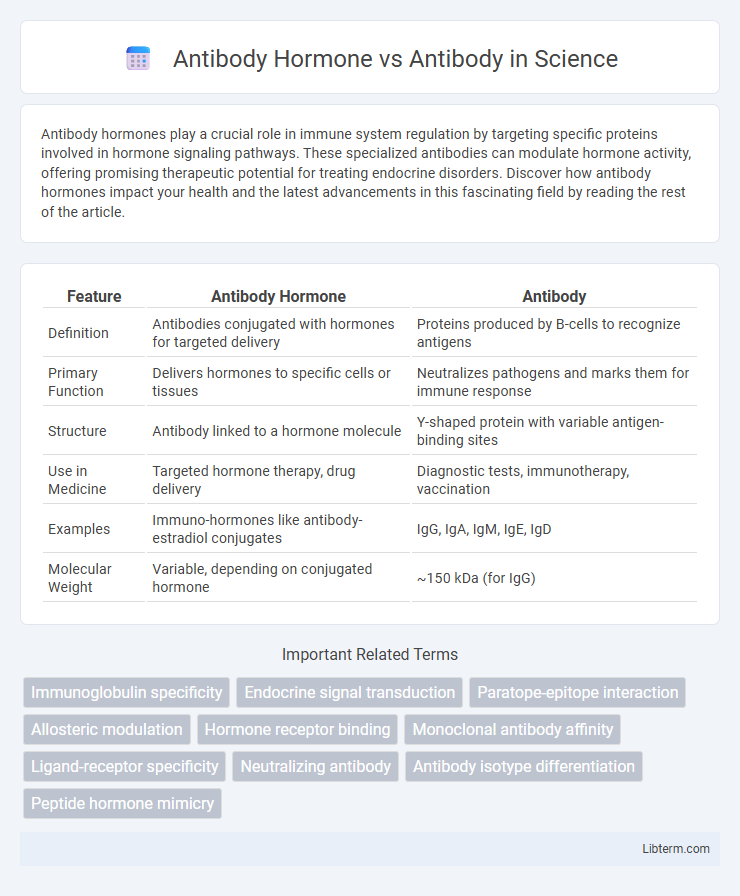 Antibody vs Antibody Hormone in Science - What is The Difference?
