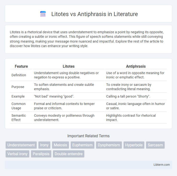 Antiphrasis vs Litotes in Literature - What is The Difference?