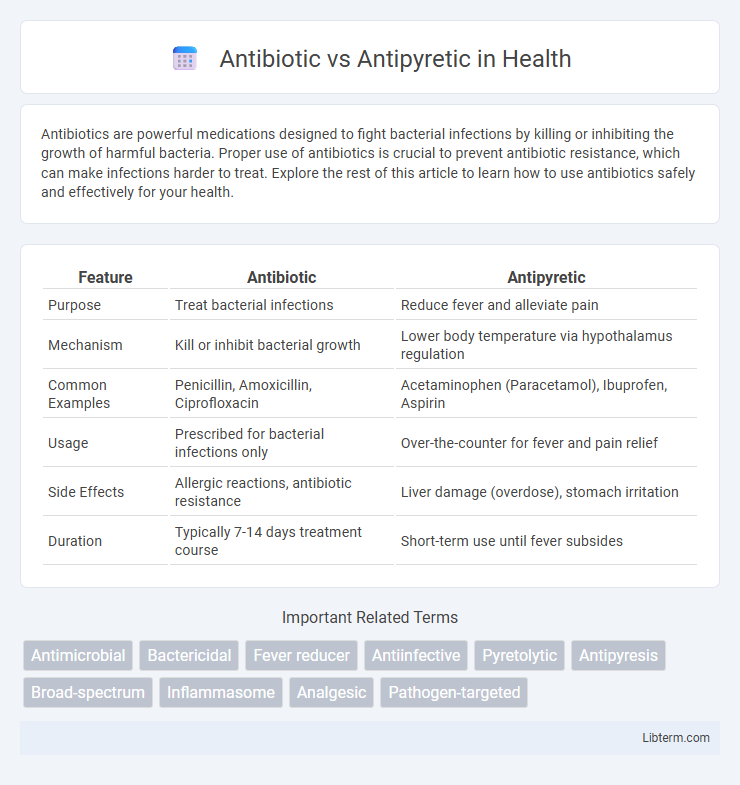 Antipyretic vs Antibiotic in Health - What is The Difference?