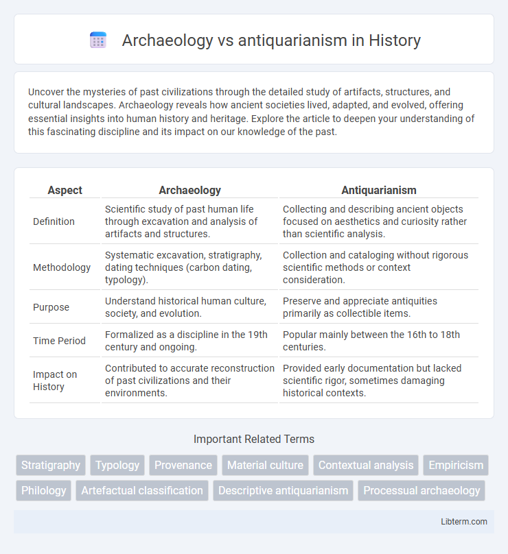 antiquarianism vs Archaeology in History - What is The Difference?
