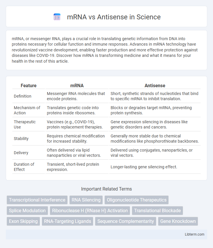 Antisense vs mRNA in Science - What is The Difference?