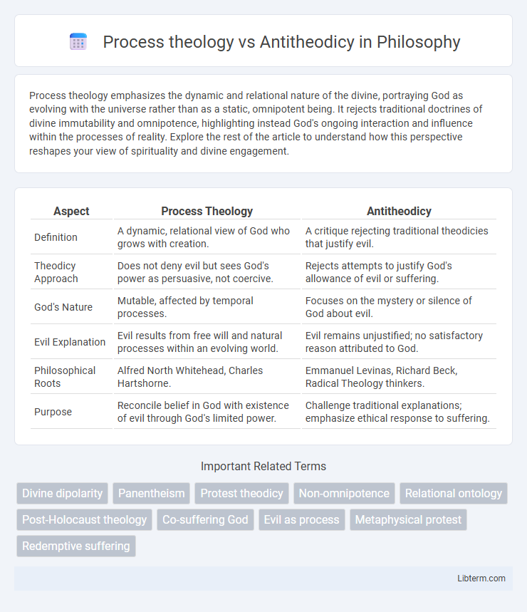 Antitheodicy vs Process theology in Philosophy - What is The Difference?