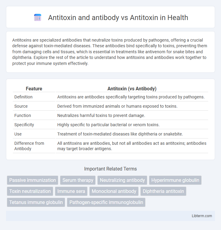 Antitoxin vs Antitoxin and antibody in Health - What is The Difference?