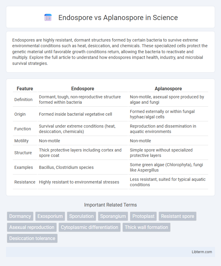 Aplanospore vs Endospore in Science - What is The Difference?