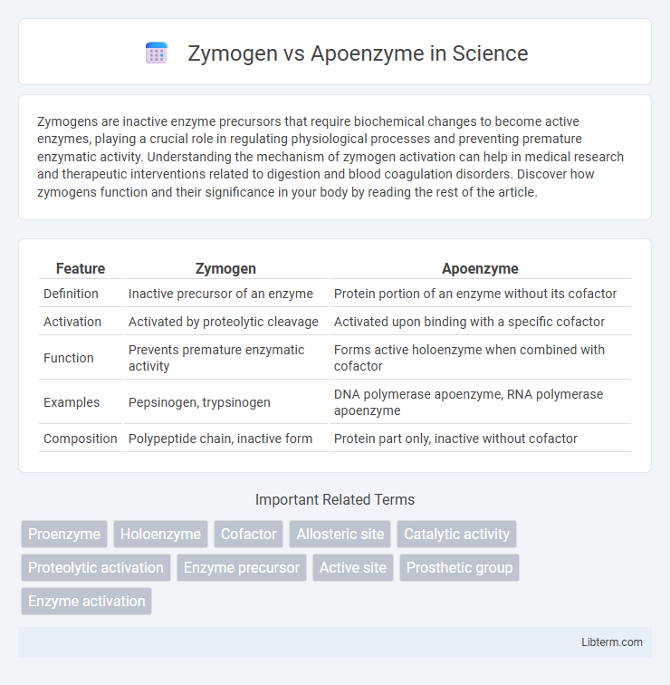 Apoenzyme vs Zymogen in Science - What is The Difference?