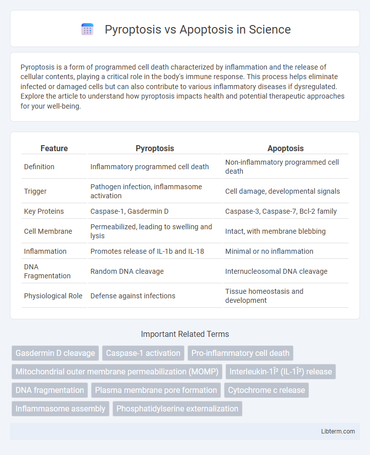 Apoptosis vs Pyroptosis in Science - What is The Difference?