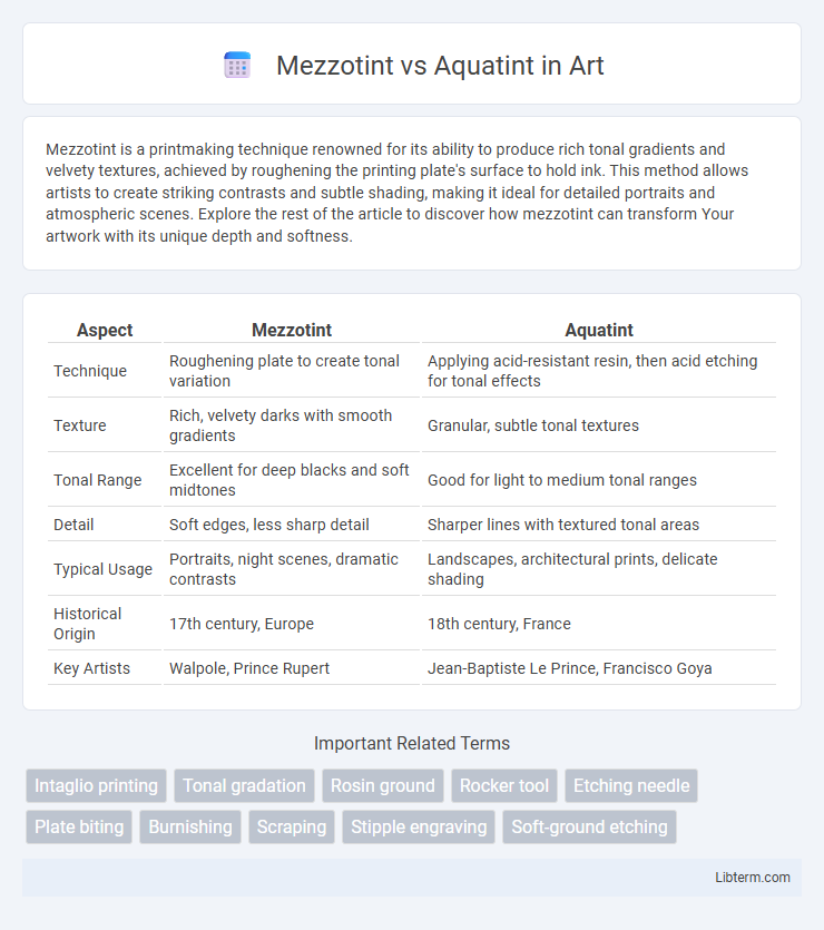 Aquatint vs Mezzotint in Art - What is The Difference?