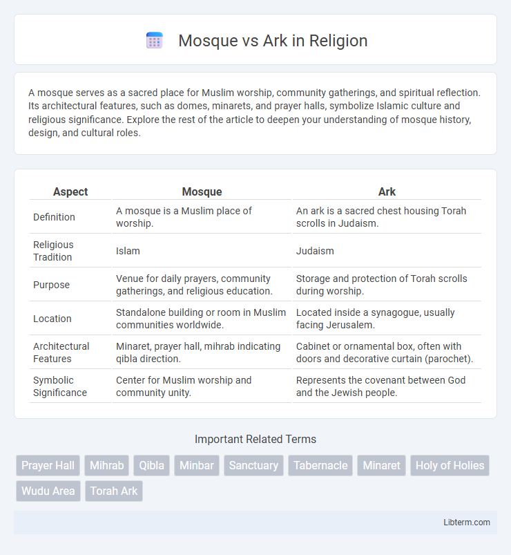 Ark vs Mosque in Religion - What is The Difference?
