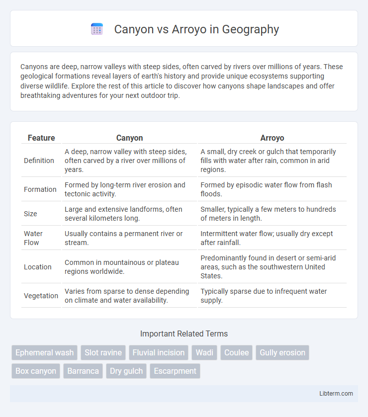 Arroyo vs Canyon in Geography - What is The Difference?