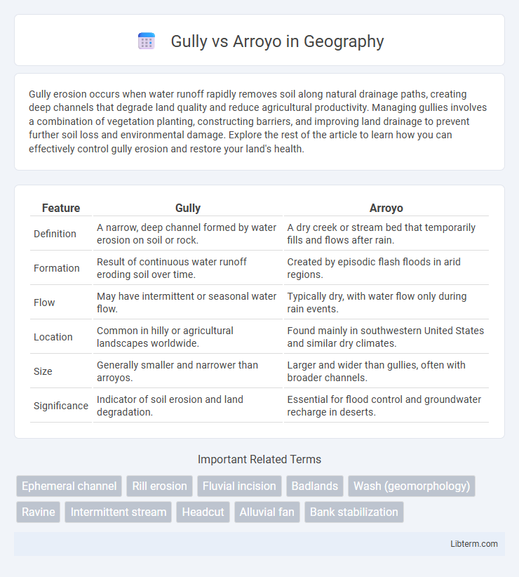Arroyo vs Gully in Geography - What is The Difference?