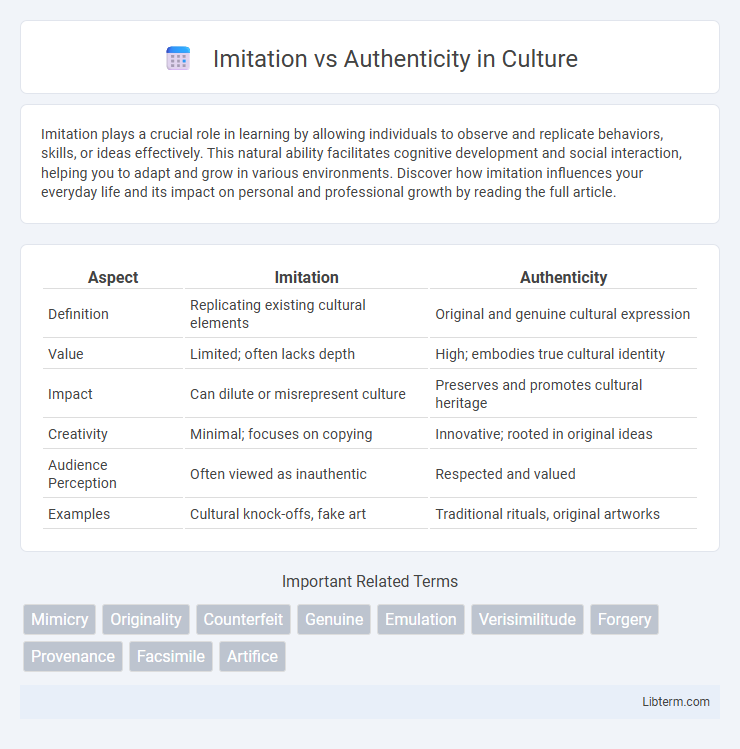 Authenticity vs Imitation in Culture - What is The Difference?