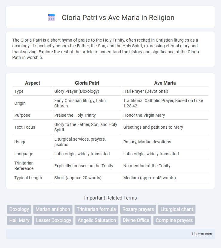 Ave Maria vs Gloria Patri in Religion - What is The Difference?
