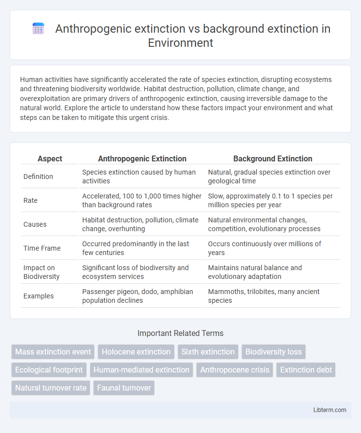 background extinction vs Anthropogenic extinction in Environment - What is The Difference?